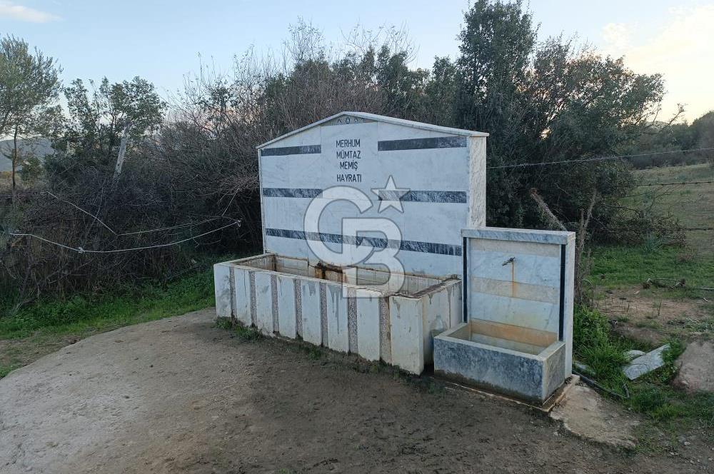 Aydın Çine Saraçlar'da Meralık Yatırım Fırsatı