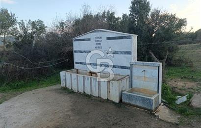 Aydın Çine Saraçlar'da Meralık Yatırım Fırsatı