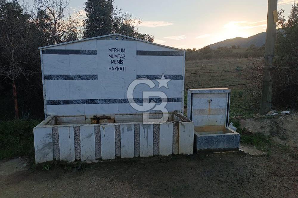 Aydın Çine Saraçlar'da Meralık Yatırım Fırsatı