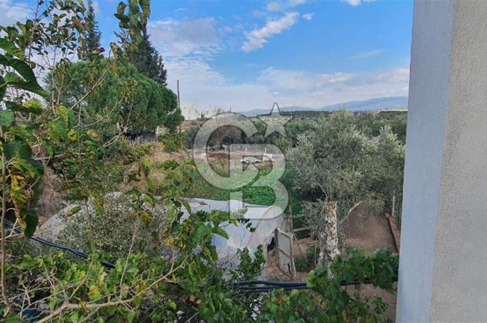 Aydın Çine Saraçlar'da Emsalsiz Konum Kurulu Düzen Ticari Yatırım Fırsatı