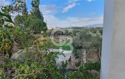 Aydın Çine Saraçlar'da Emsalsiz Konum Kurulu Düzen Ticari Yatırım Fırsatı