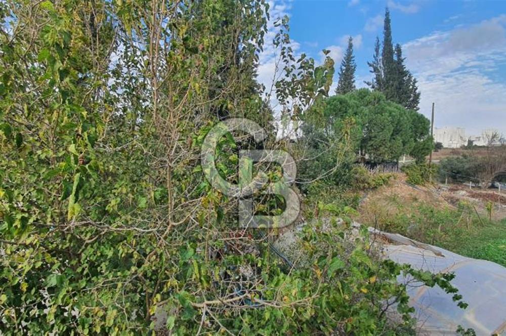 Aydın Çine Saraçlar'da Emsalsiz Konum Kurulu Düzen Ticari Yatırım Fırsatı