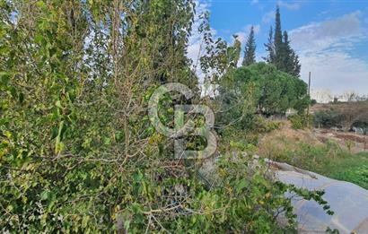 Aydın Çine Saraçlar'da Emsalsiz Konum Kurulu Düzen Ticari Yatırım Fırsatı