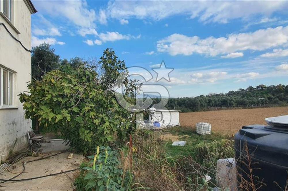 Aydın Çine Saraçlar'da Emsalsiz Konum Kurulu Düzen Ticari Yatırım Fırsatı