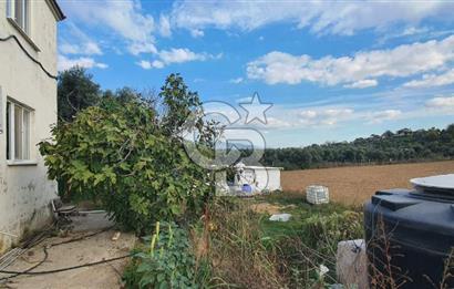 Aydın Çine Saraçlar'da Emsalsiz Konum Kurulu Düzen Ticari Yatırım Fırsatı