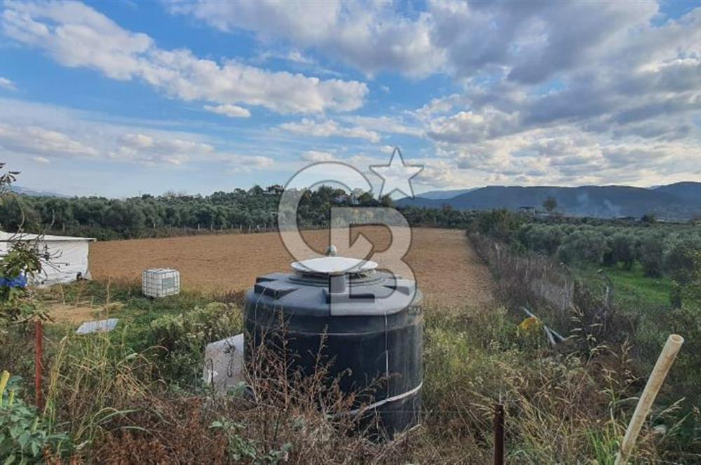 Aydın Çine Saraçlar'da Emsalsiz Konum Kurulu Düzen Ticari Yatırım Fırsatı