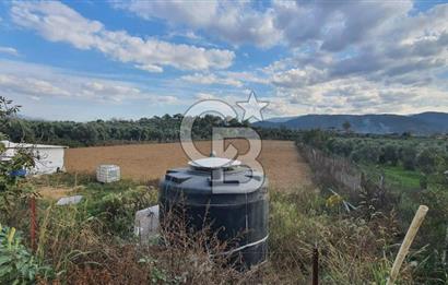 Aydın Çine Saraçlar'da Emsalsiz Konum Kurulu Düzen Ticari Yatırım Fırsatı