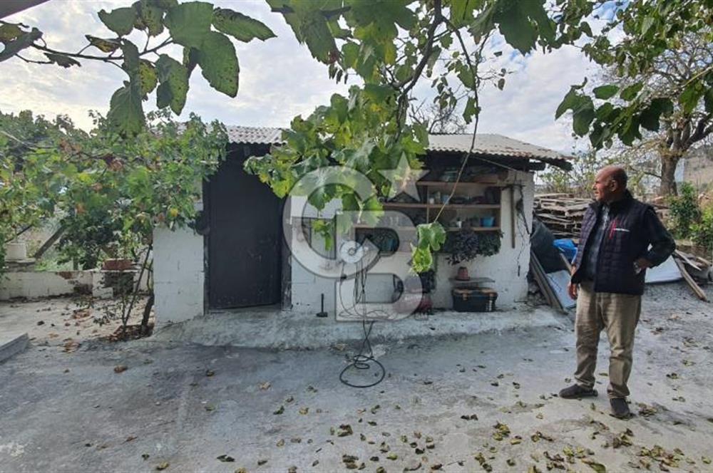 Aydın Çine Saraçlar'da Emsalsiz Konum Kurulu Düzen Ticari Yatırım Fırsatı