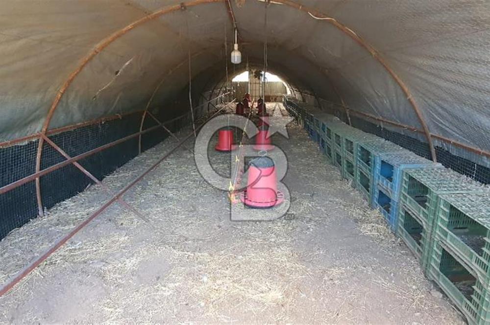 Aydın Çine Saraçlar'da Emsalsiz Konum Kurulu Düzen Ticari Yatırım Fırsatı