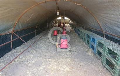 Aydın Çine Saraçlar'da Emsalsiz Konum Kurulu Düzen Ticari Yatırım Fırsatı