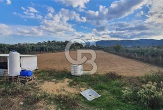 Aydın Çine Saraçlar'da Emsalsiz Konum Kurulu Düzen Ticari Yatırım Fırsatı - 2 - 313919