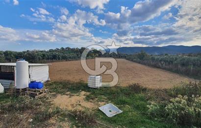 Aydın Çine Saraçlar'da Emsalsiz Konum Kurulu Düzen Ticari Yatırım Fırsatı