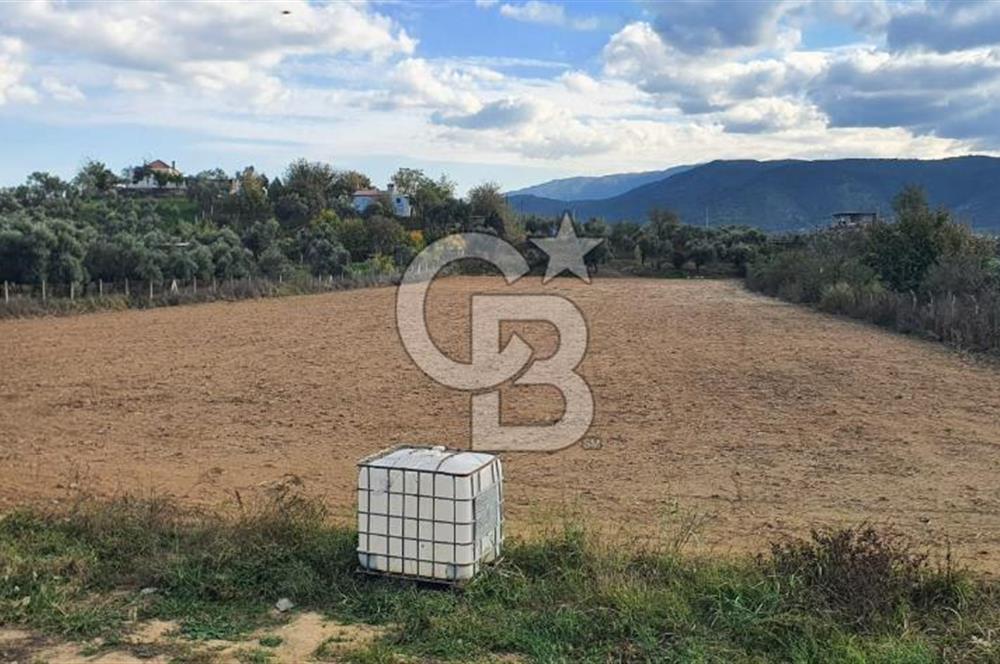 Aydın Çine Saraçlar'da Emsalsiz Konum Kurulu Düzen Ticari Yatırım Fırsatı