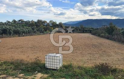 Aydın Çine Saraçlar'da Emsalsiz Konum Kurulu Düzen Ticari Yatırım Fırsatı