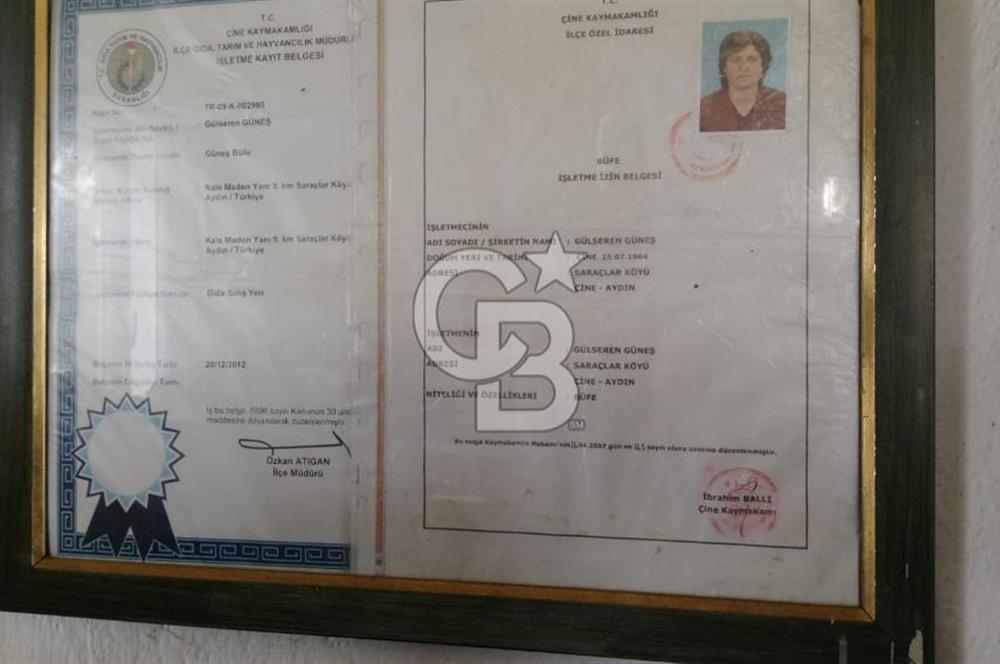 Aydın Çine Saraçlar'da Emsalsiz Konum Kurulu Düzen Ticari Yatırım Fırsatı