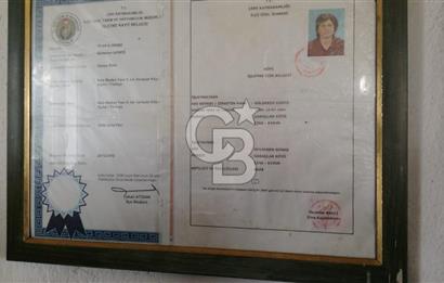 Aydın Çine Saraçlar'da Emsalsiz Konum Kurulu Düzen Ticari Yatırım Fırsatı