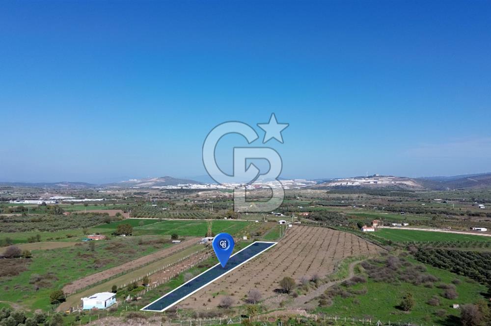 Aliağa Güzelhisar Çıtak Arasında 3.400 m² Tarla