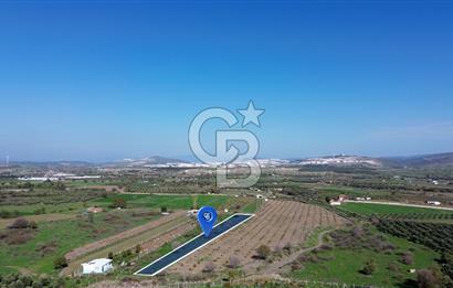 Aliağa Güzelhisar Çıtak Arasında 3.400 m² Tarla