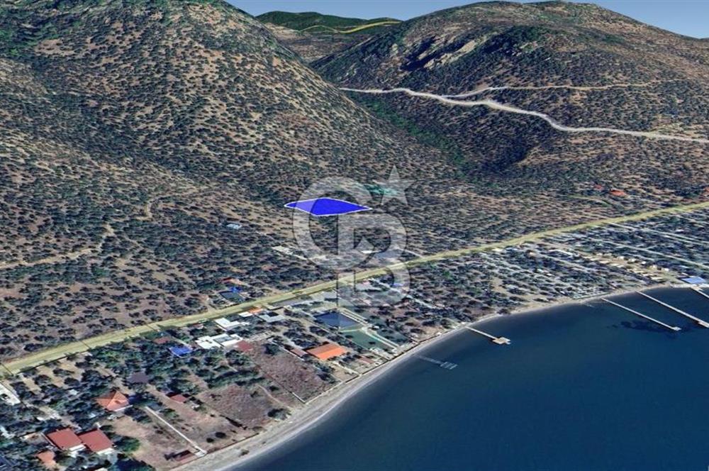 Assos Sahil Rotasında Yatı. Zeytinlik-Turiz. Bölgeleriyle İç İçe