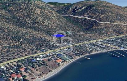 Assos Sahil Rotasında Yatı. Zeytinlik-Turiz. Bölgeleriyle İç İçe