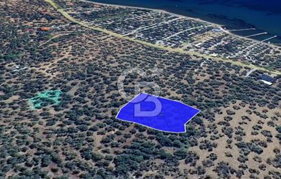 Assos Sahil Rotasında Yatı. Zeytinlik-Turiz. Bölgeleriyle İç İçe