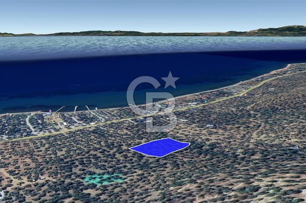 Assos Sahil Rotasında Yatı. Zeytinlik-Turiz. Bölgeleriyle İç İçe