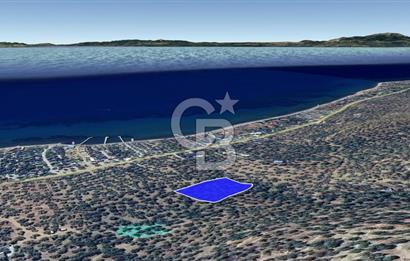 Assos Sahil Rotasında Yatı. Zeytinlik-Turiz. Bölgeleriyle İç İçe