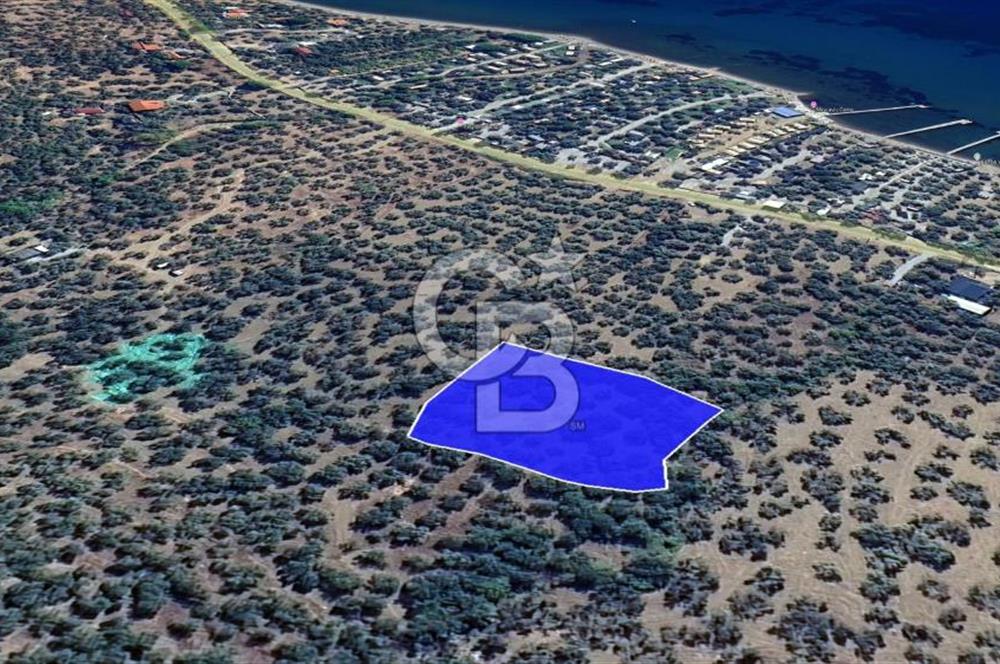 Assos Sahil Rotasında Yatı. Zeytinlik-Turiz. Bölgeleriyle İç İçe