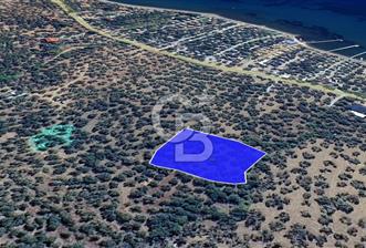 Assos Sahil Rotasında Yatı. Zeytinlik-Turiz. Bölgeleriyle İç İçe - 7 - 314084