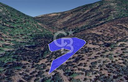 Kazdağları eteklerinde Assos'a komşu deniz manz. geniş zeytinlik