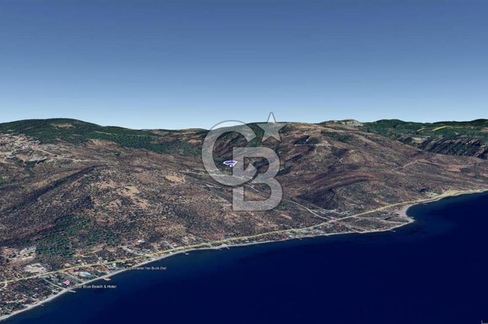 Kazdağları eteklerinde Assos'a komşu deniz manz. geniş zeytinlik