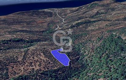 Kazdağları eteklerinde Assos'a komşu deniz manz. geniş zeytinlik