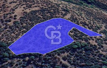 Kazdağları eteklerinde Assos'a komşu deniz manz. geniş zeytinlik