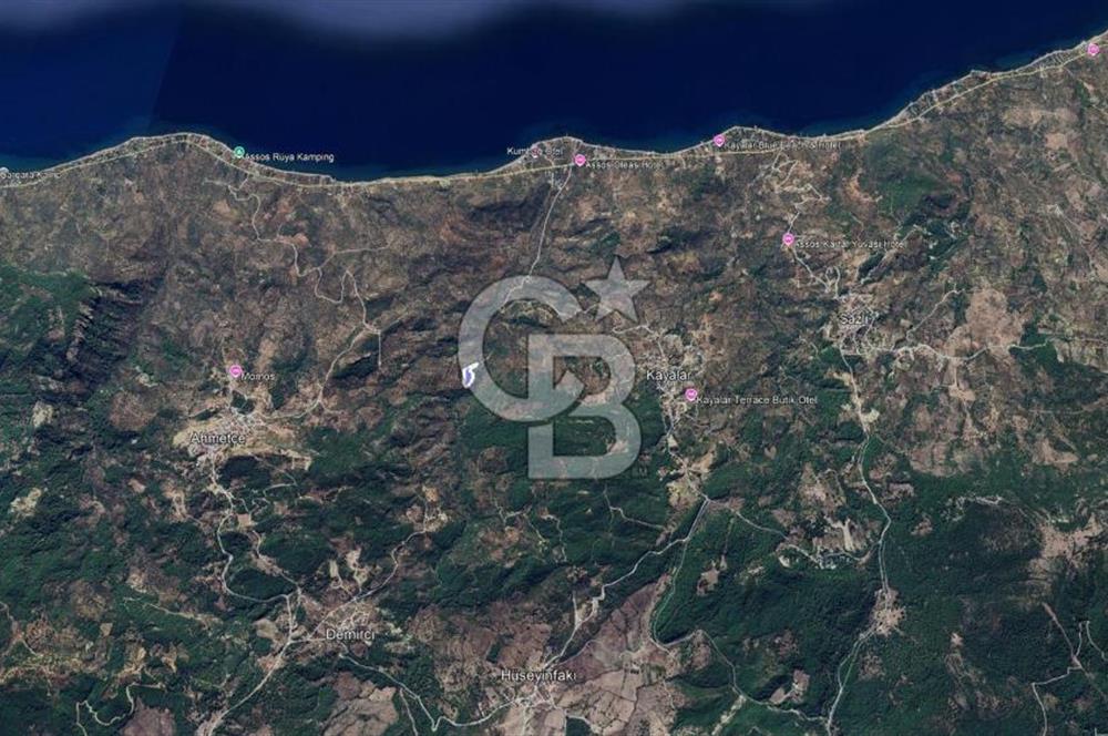 Kazdağları eteklerinde Assos'a komşu deniz manz. geniş zeytinlik