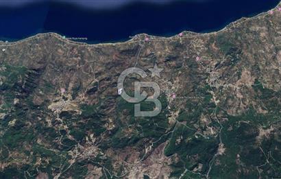 Kazdağları eteklerinde Assos'a komşu deniz manz. geniş zeytinlik