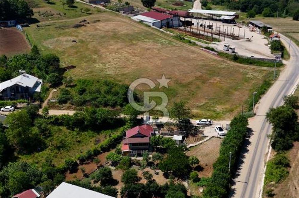 Nilüfer Dağyenice Hazır 2 Katlı Eviyle Birlikte 2166 m² Bahçe 