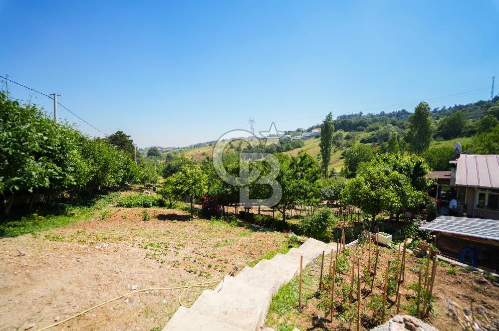 Nilüfer Dağyenice Hazır 2 Katlı Eviyle Birlikte 2166 m² Bahçe 