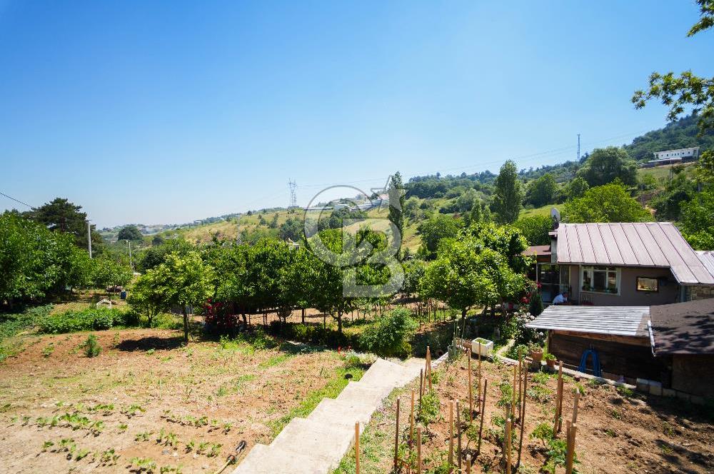 Nilüfer Dağyenice Hazır 2 Katlı Eviyle Birlikte 2166 m² Bahçe 