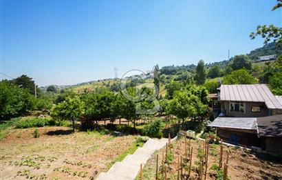 Nilüfer Dağyenice Hazır 2 Katlı Eviyle Birlikte 2166 m² Bahçe 