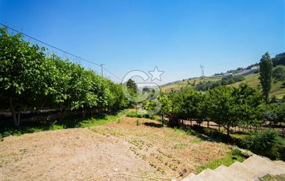 Nilüfer Dağyenice Hazır 2 Katlı Eviyle Birlikte 2166 m² Bahçe 