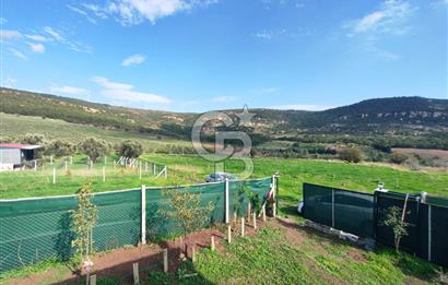 Foça Koca Mehmetler de Doğayla İç içe 469 m2 Satılık Tarla