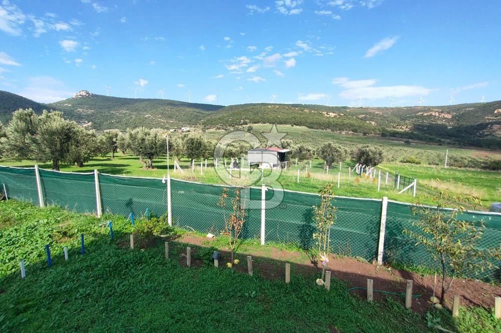 Foça Koca Mehmetler de Doğayla İç içe 469 m2 Satılık Tarla