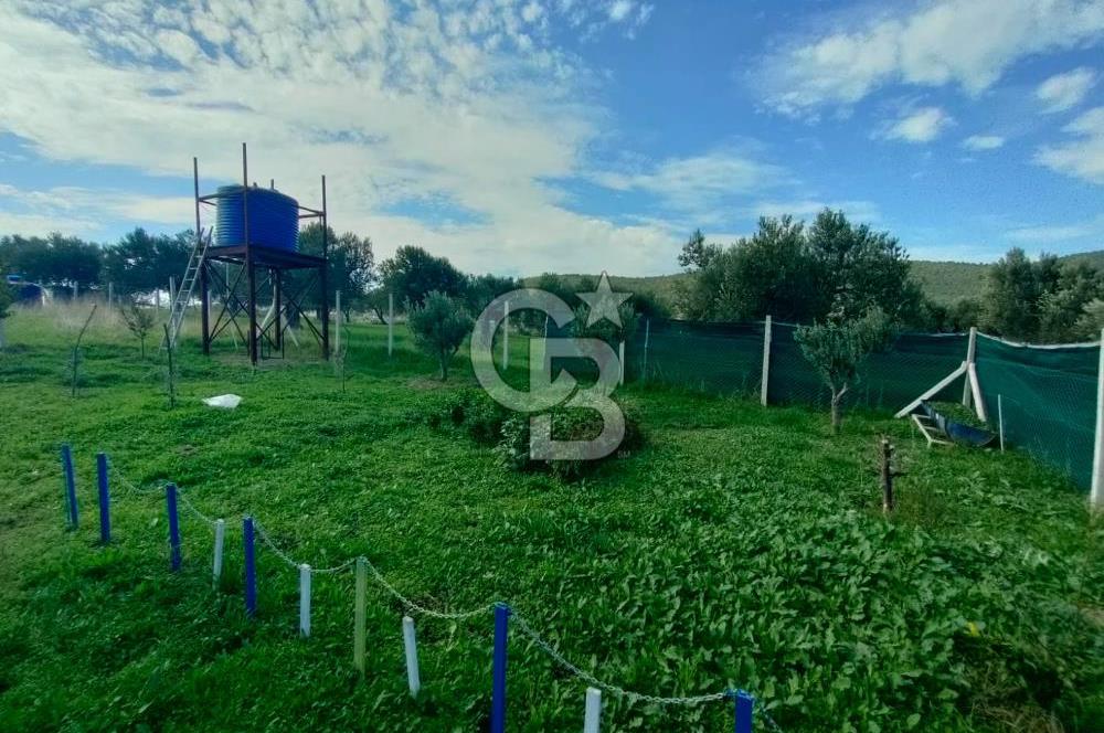 Foça Koca Mehmetler de Doğayla İç içe 469 m2 Satılık Tarla