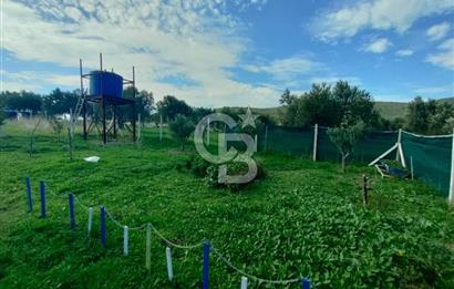 Foça Koca Mehmetler de Doğayla İç içe 469 m2 Satılık Tarla