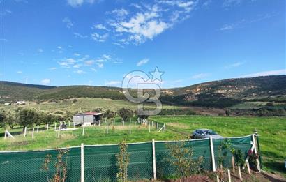 Foça Koca Mehmetler de Doğayla İç içe 469 m2 Satılık Tarla