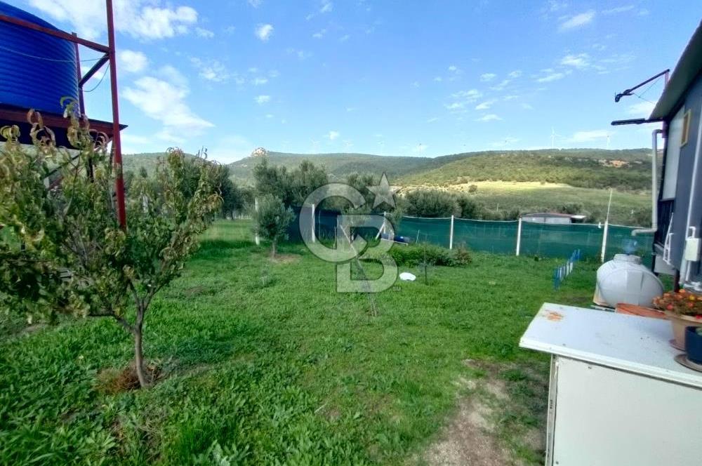Foça Koca Mehmetler de Doğayla İç içe 469 m2 Satılık Tarla