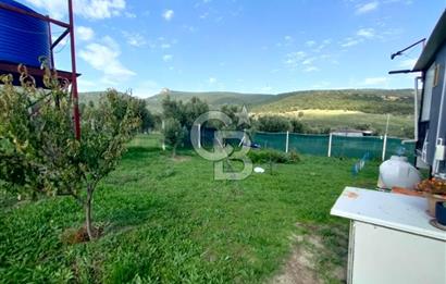 Foça Koca Mehmetler de Doğayla İç içe 469 m2 Satılık Tarla
