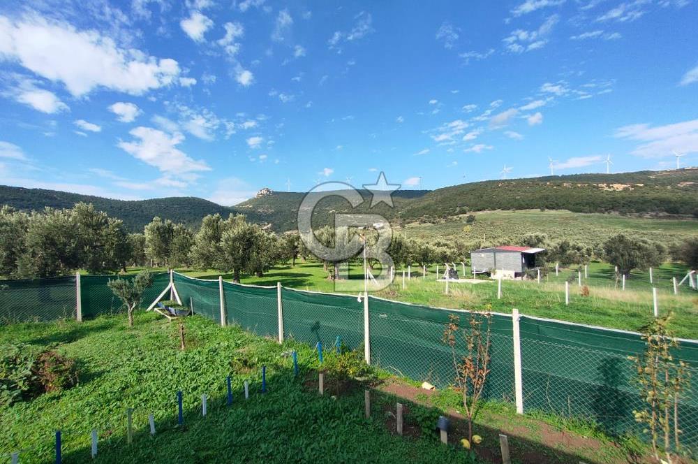 Foça Koca Mehmetler de Doğayla İç içe 469 m2 Satılık Tarla