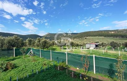 Foça Koca Mehmetler de Doğayla İç içe 469 m2 Satılık Tarla