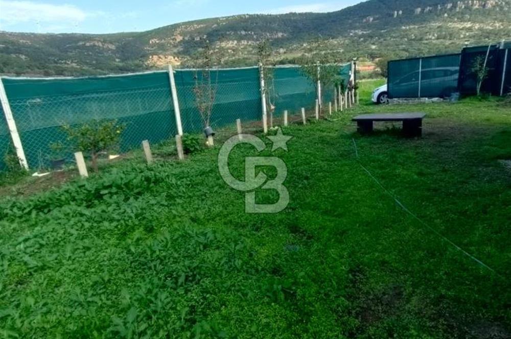 Foça Koca Mehmetler de Doğayla İç içe 469 m2 Satılık Tarla